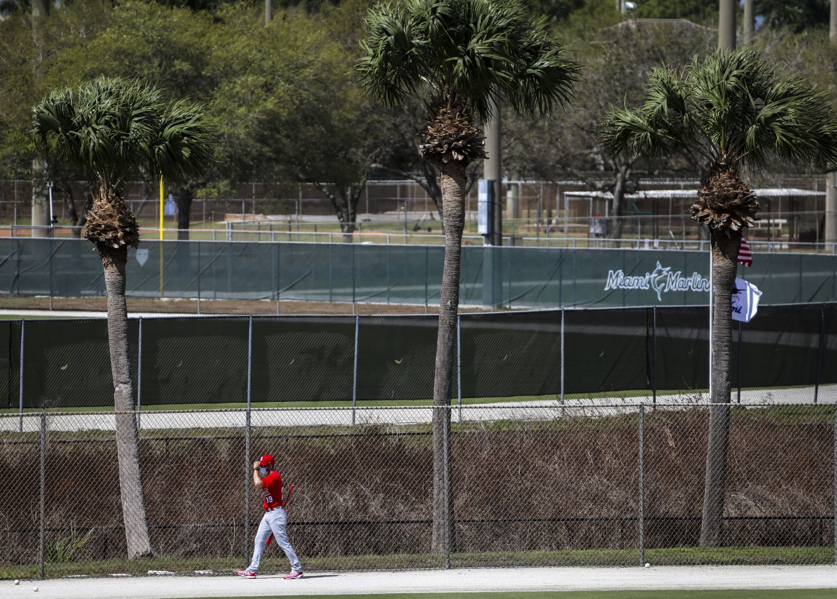 Day six of Cardinals spring training workouts